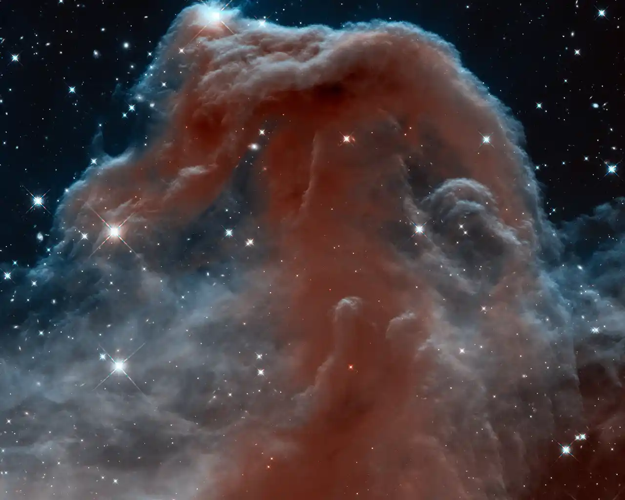 Observación guiada
